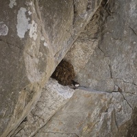 Photo de France - La randonnée des Gorges d'Héric